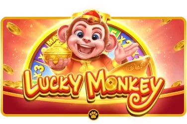 29 bet casino